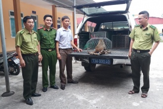 Tiếp nhận động vật hoang dã để cứu hộ, chăm sóc và thả về môi trường tự nhiên